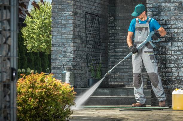 Best Driveway Pressure Washing  in Elmwood Place, OH