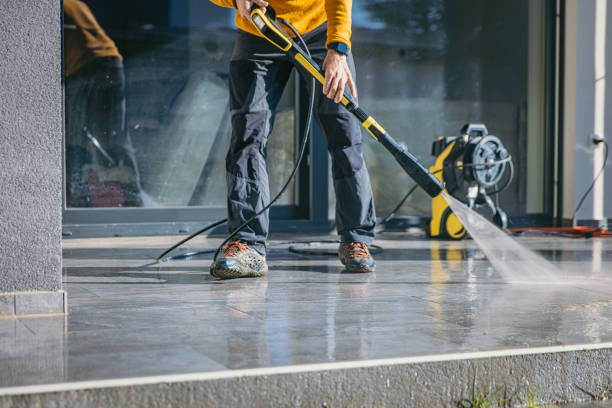 Best Spring Cleaning  in Elmwood Place, OH